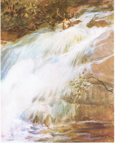 Llançant el cap ben alt en l