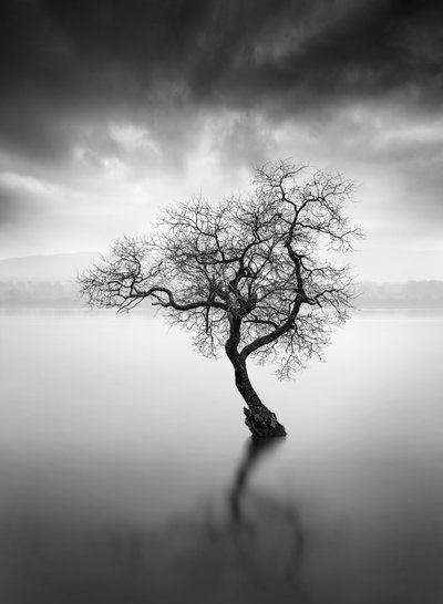 Lone Treen heijastus tekijältä George Digalakis