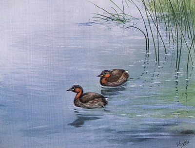 Pikkulepinkäinen (litografia) tekijältä George Edward Lodge
