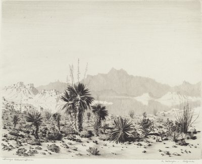 Mirage, Arizona tekijältä George Elbert Burr