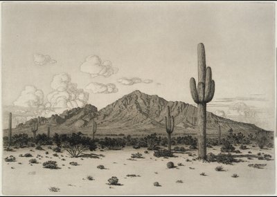 Camelback Mountain, Phoenix tekijältä George Elbert Burr