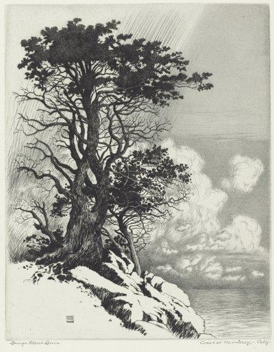 Rannikko Montereyssä, Kaliforniassa tekijältä George Elbert Burr