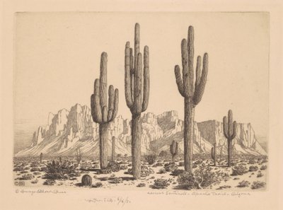 Desert Sentinels, Apache Trail, Arizona tekijältä George Elbert Burr