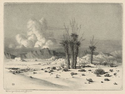 Ilta, Arizona tekijältä George Elbert Burr