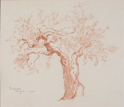 Fiesole tekijältä George Elbert Burr