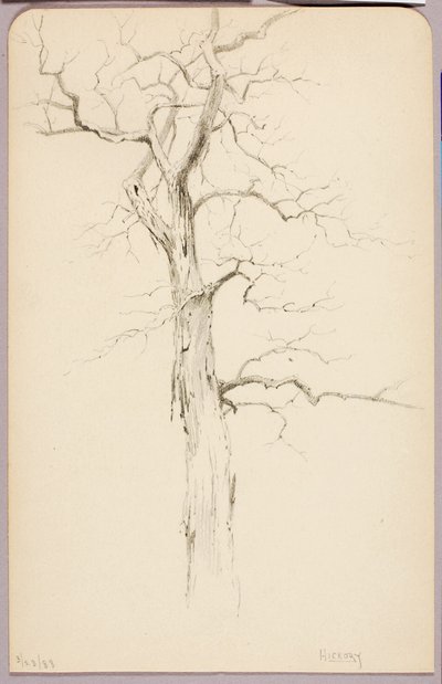 Hickory tekijältä George Elbert Burr