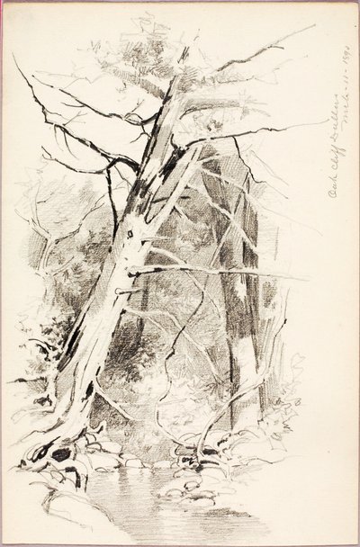 Oak Cliff, Dallas tekijältä George Elbert Burr