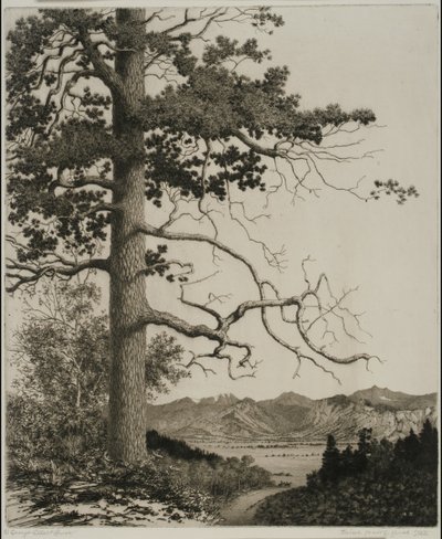 Old Pine, Estes Park tekijältä George Elbert Burr