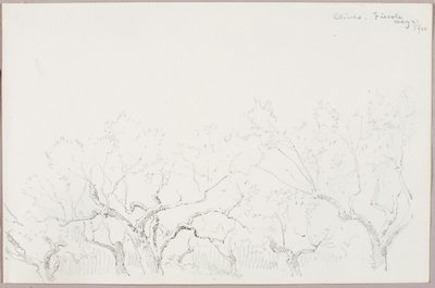 Oliivit-Fiesole tekijältä George Elbert Burr