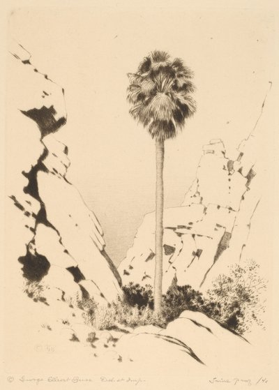 Palm Canyon (nro 1) tekijältä George Elbert Burr