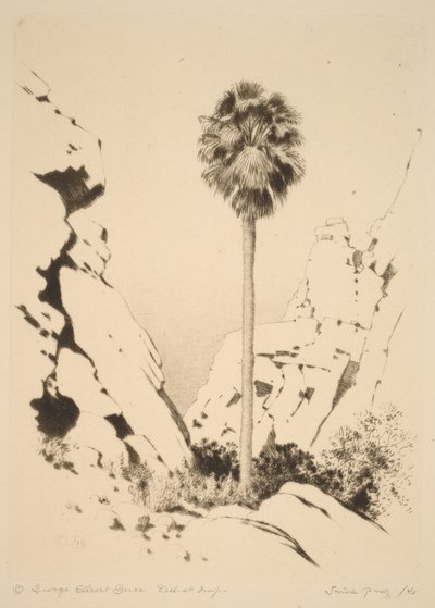  tekijältä George Elbert Burr