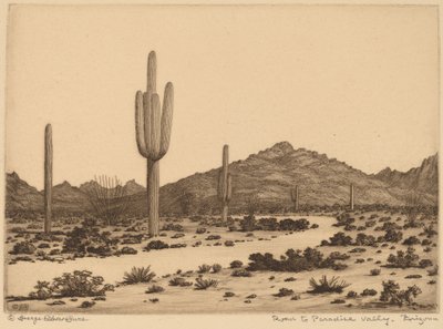 Tie Paradise Valleyyn, Arizonaan tekijältä George Elbert Burr