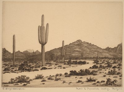 Tie Paradise Valleyhin, Arizonaan tekijältä George Elbert Burr