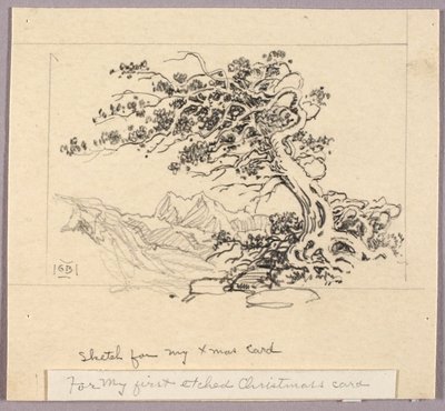 Luonnos joulukorttiin (Windswept Pine [nro 1]) tekijältä George Elbert Burr