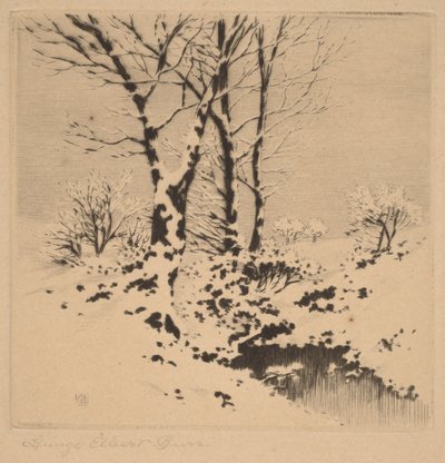 Lumi tekijältä George Elbert Burr