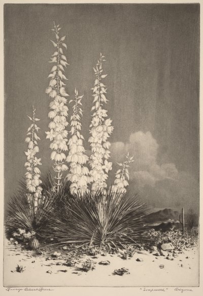  tekijältä George Elbert Burr