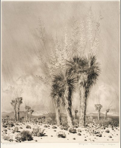 Kevät, Paradise Valley, Arizona tekijältä George Elbert Burr