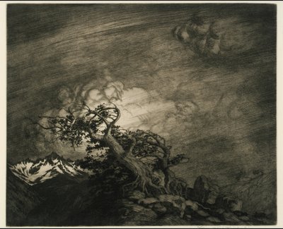Myrsky lähellä Timberlinea tekijältä George Elbert Burr