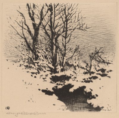 Ensimmäinen lumi (nro 2) tekijältä George Elbert Burr
