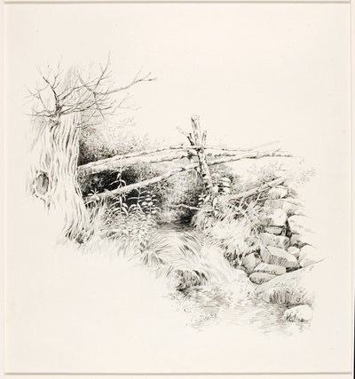 Nimetön (Woodland Stream) tekijältä George Elbert Burr