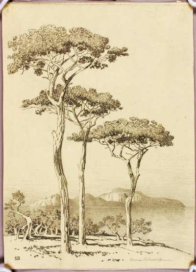 Nimetön (siirtopiirros teosta "Capri Sorrentosta nähtynä" varten) tekijältä George Elbert Burr