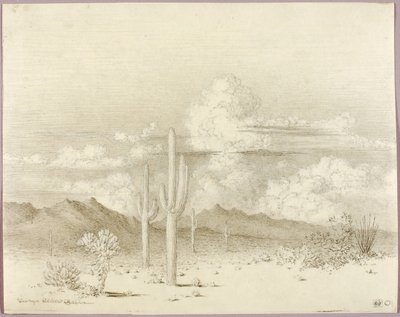 Nimetön (siirtopiirros teosta Ilta, Paradise Valley, Arizona varten) tekijältä George Elbert Burr