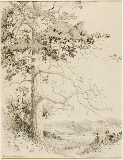 Nimetön (siirtopiirustus Old Pine, Estes Park) tekijältä George Elbert Burr