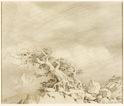 Nimetön (siirtopiirustus Storm near Timberline) tekijältä George Elbert Burr