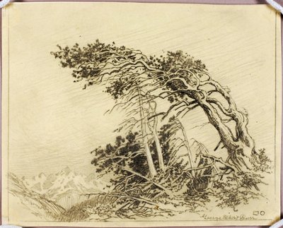 Nimetön (siirtopiirros The Home of the Winds [nro 1]). tekijältä George Elbert Burr