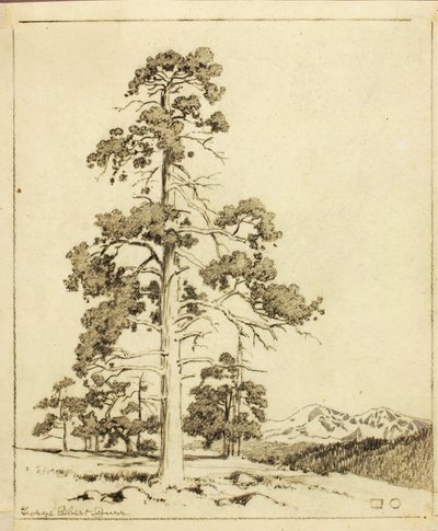 Nimetön (siirtopiirros grafiikanvedosta varten) tekijältä George Elbert Burr