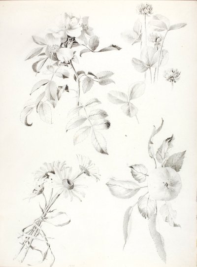 Untitled tekijältä George Elbert Burr