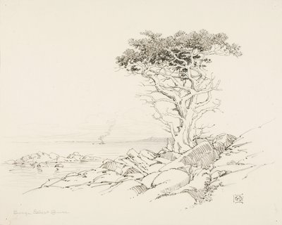 Untitled tekijältä George Elbert Burr