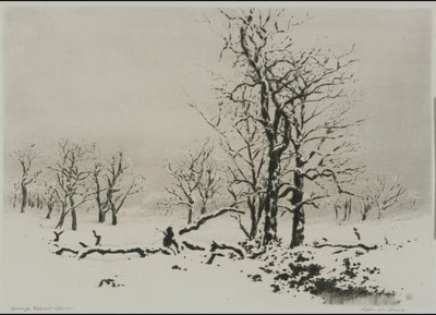 Talvi (nro 1) tekijältä George Elbert Burr