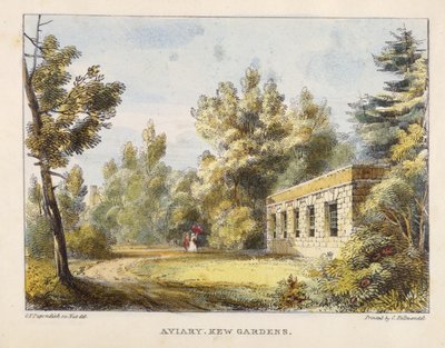 Aviary, Kew Gardens, levy 10 Kew Gardens: A Series of Twenty-Four Drawings on Stone, kaiverrettu Charles Hullmandel (1789-1850), julkaistu 1820 (käsinvärinen litho) tekijältä George Ernest after Papendiek