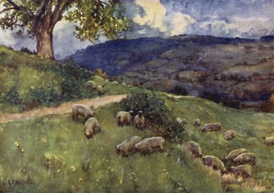 Cotswoldin lammaslaitumella tekijältä George Franck Nicholls