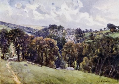 Camelford (väri litho) tekijältä George Franck Nicholls