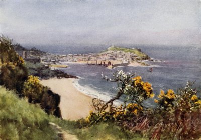 St Ives tekijältä George Franck Nicholls