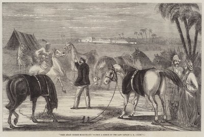 Arabihevoskauppias tekijältä George Francklin Atkinson