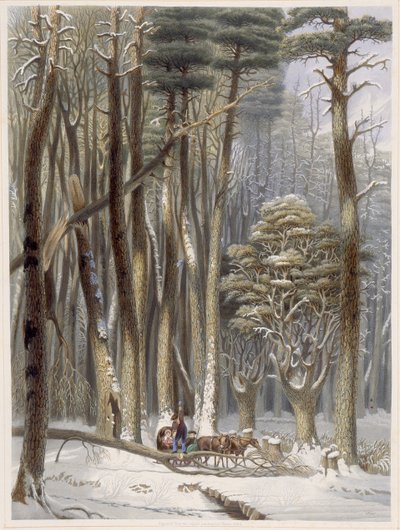 Talvi, estetty matkailijoita mäntymetsässä, Harveys Scenes of the Primitive Forest of America, 1841 (käsinvärinen akvatinta) tekijältä George Harvey