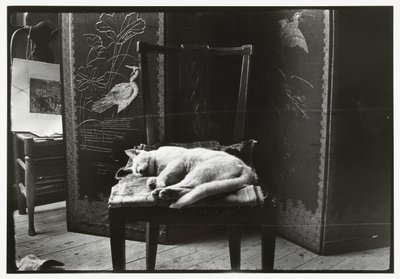 Kissa tuolilla Breitnerin studiossa Amsterdamissa tekijältä George Hendrik Breitner
