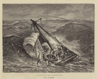 Gale Pohjanmerellä tekijältä George Henry Andrews