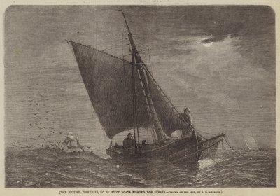The British Fisheries, No 3, Stow Boats kalastavat kilohailia tekijältä George Henry Andrews