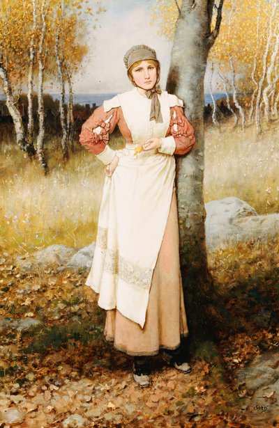 Ruusu Uudessa Englannissa tekijältä George Henry Boughton