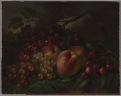 Persikat, viinirypäleet ja kirsikat, n. 1860-1870 (öljy kankaalle) tekijältä George Henry Hall