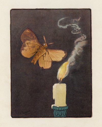 The Moth (värilitografia) tekijältä George Henry Thompson