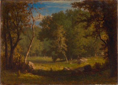 Elf Ground tekijältä George Inness