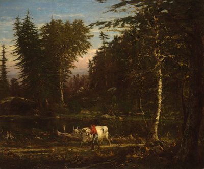 Adirondack-vuoristossa tekijältä George Inness