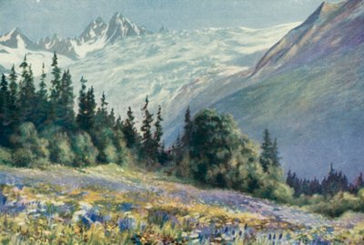 Campanula ja muut heinäkuun kukat Col Des Montetsissa (värilitho) tekijältä George Jackson Flemwell