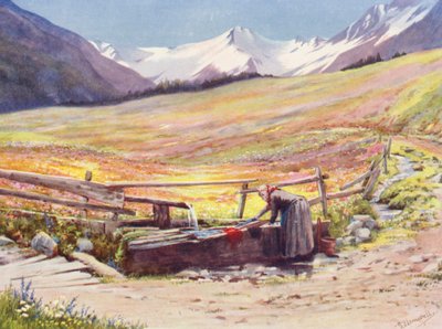 Kesäkuun alun peltoja Praz de Fortin takana Val Ferretissä Groupe du Grand Saint-Bernard et du Grand Golliaz