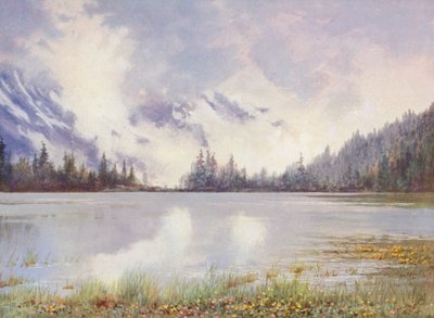 Champex-järvi pilvimaisemassa toukokuun lopussa; Caltha palustris ja Primula farinosa vesirajassa (värilitho). tekijältä George Jackson Flemwell